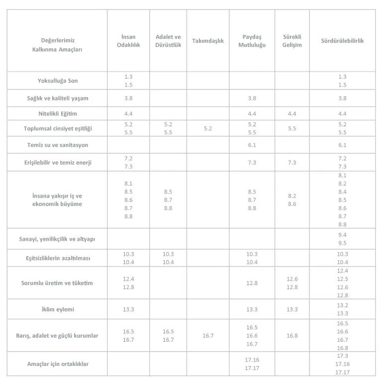 UNDP-Askon Değerler Matrisi